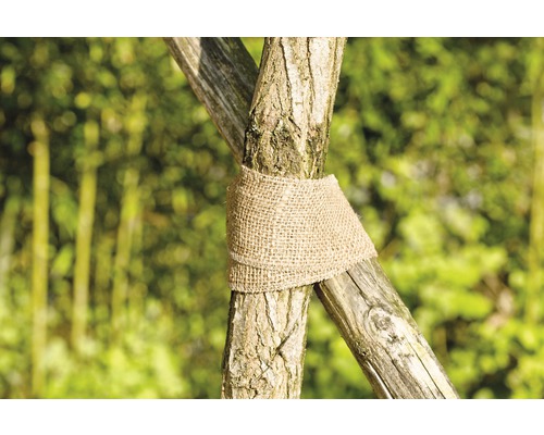 Support d''arbre avec bande de jute pour protéger l''arbre