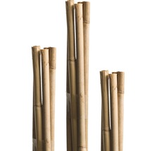 Bambusstab FloraSelf H 120 cm Ø 8 mm braun 10 Stk-thumb-0