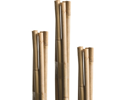 Bambusstab FloraSelf H 120 cm Ø 8 mm braun 10 Stk-0