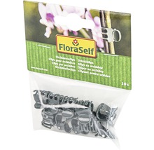 Lot de dix clips pour orchidées