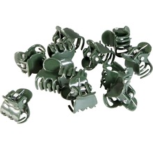 Plusieurs clips pour plantes verts pour le jardinage