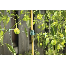 Filet de support pour plantes avec bâton de bambou et clip de fixation pour le support des plantes