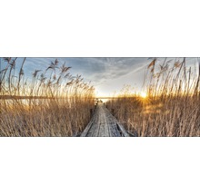 Glasbild Way To The Sun 50x125 cm