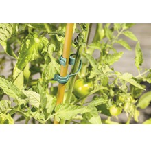 Clip de support pour plantes à fixer sur un tuteur