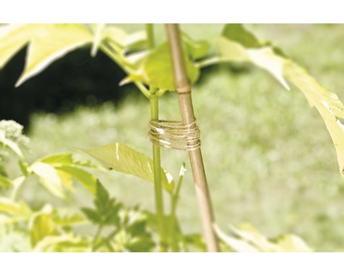Support de plante en bambou avec corde de jute pour fixer à une plante