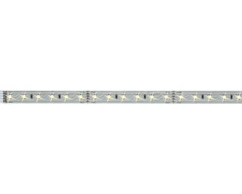 LED Streifen MaxLED 500 1m warmweiss