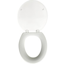 Abattant de WC avec couvercle ouvert