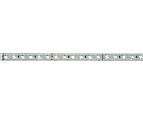 LED Streifen MaxLED 500 1m tageslichtweiss