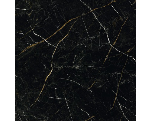 Carrelage de sol en grès cérame fin Royal black 80x80 cm