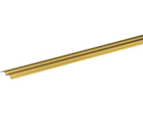 Barre de seuil Skandor Dowel-Fix Nr. 6 or anodisé Barre de profilé métallique avec décor