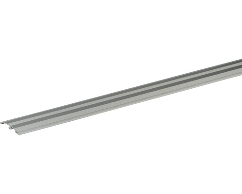 Dowel-Fix N° 6 Skandor argent anodisé 5.5x37.5x900 mm Rail de sol en aluminium