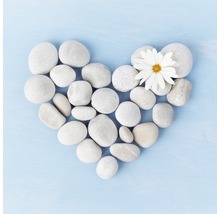 Herzform aus Steinen mit einer einzelnen Blume