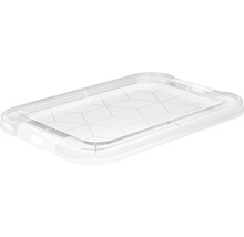 Transparente Frischhaltedose mit geometrischem Muster