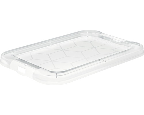 Transparente Frischhaltedose mit geometrischem Muster
