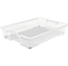 Transparente Aufbewahrungsbox