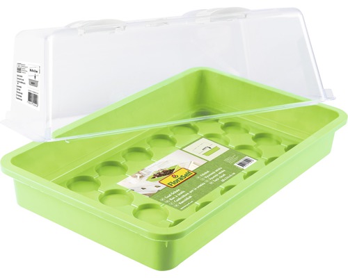 Mini-serre en plastique avec couvercle transparent