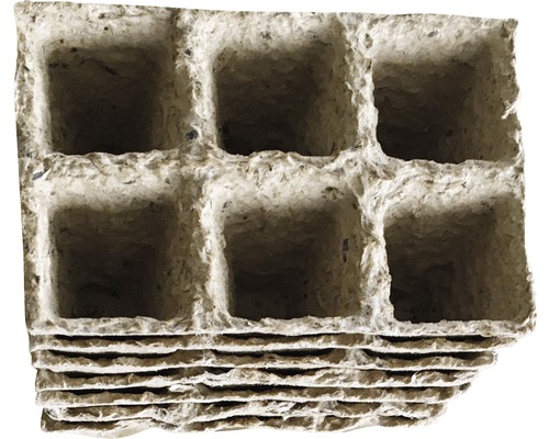 Anzuchttopfplatte aus Papier mit sechs Fächern