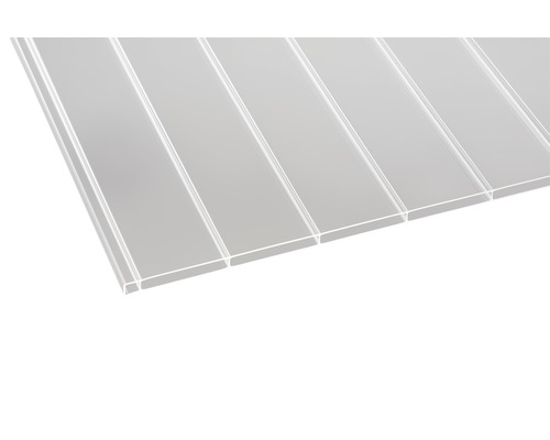 Panneau alvéolaire acrylique Panorama transparent 2000x1200x16mm