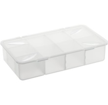 Aufbewahrungsbox aus Kunststoff mit Fächern