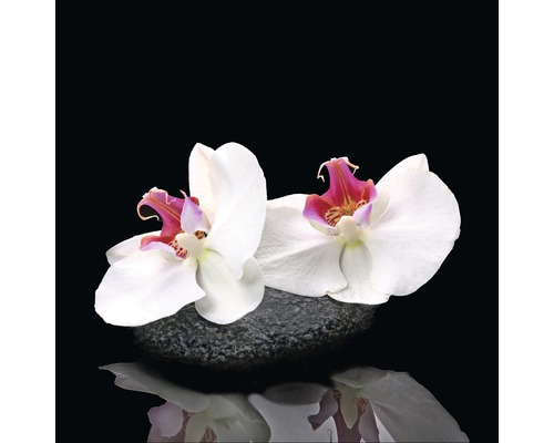 Glasbild White Orchid V 20x20 cm