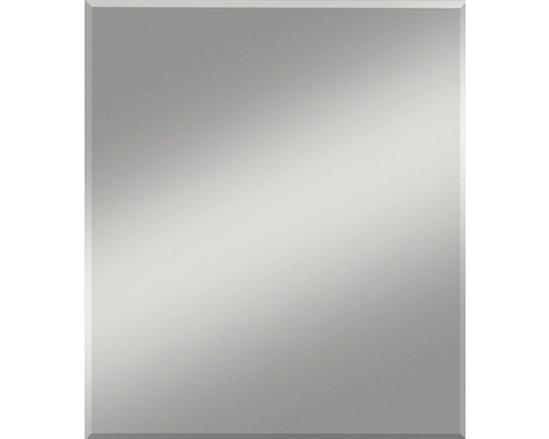 Miroir en cristal Gennil 70x110 cm
