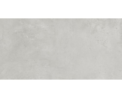 Feinsteinzeug Wand- und Bodenfliese Gare du Nord light grey 30x60 cm