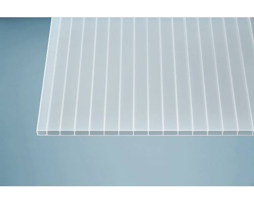 Plaque alvéolaire en polycarbonate