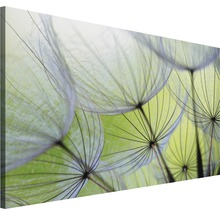 Nahaufnahme eines Leinwandbildes mit Pusteblumenmotiven