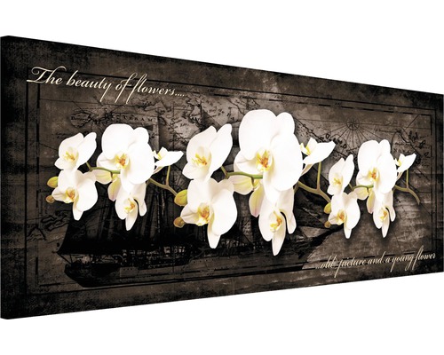 Image sur toile orchidée 45x145 cm
