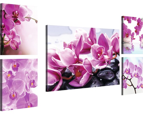 Tableau sur toile Orchidée lot de 5 115,6x64,8 cm
