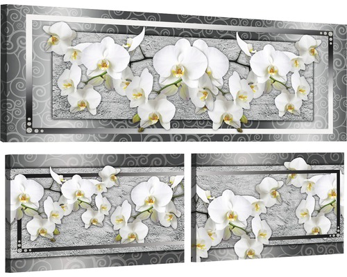 Tableau sur toile Orchidée lot de 3 80x55,8 cm
