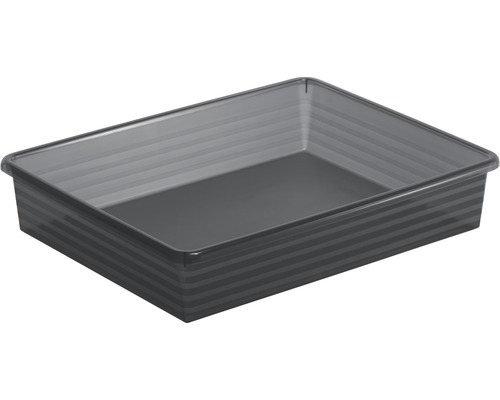 Petit casier Linus DIN A4 anthracite 34,5x27x6 cm Boîte de rangement en plastique