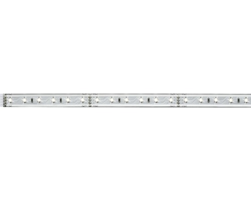 Bande MaxLED 500 6W 24V blanc lumière du jour argent plastique 1 m