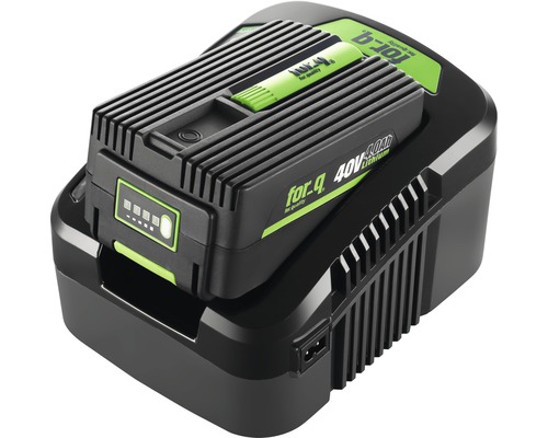 For-q Batterie au lithium 40V avec chargeur