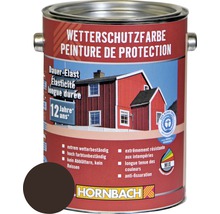 Wetterschutzfarbe in einer Dose mit Farbmuster und Hornbach Logo