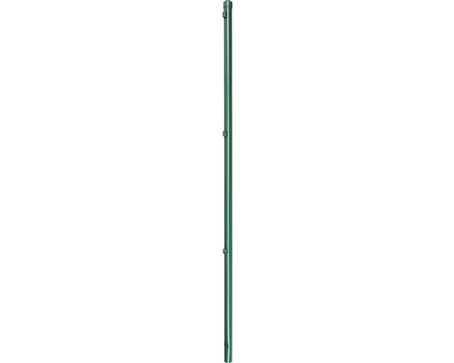 Poteau de clôture ALBERTS pour hauteur de treillis 80 cm, Ø 3,4 x 115 cm vert