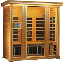 Holzsauna mit Glastür und Steuerungselement