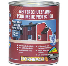 Boîte de peinture de protection contre les intempéries avec le logo Hornbach