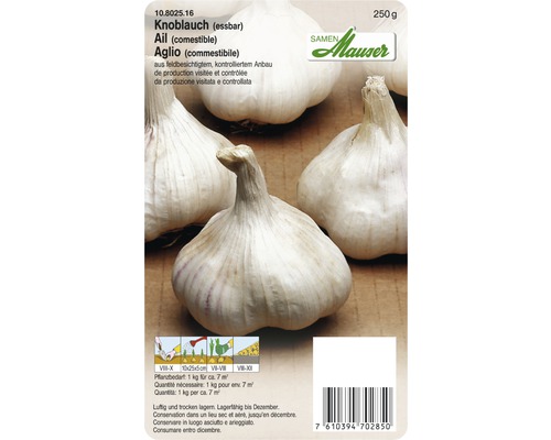 Knoblauch Samen Mauser Herbst 250 g