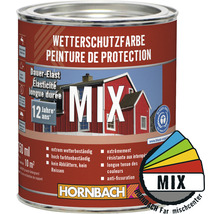 Peinture d''extérieur en pot