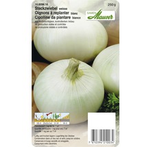 Steckzwiebel Samen Mauser Weiss 250 g
