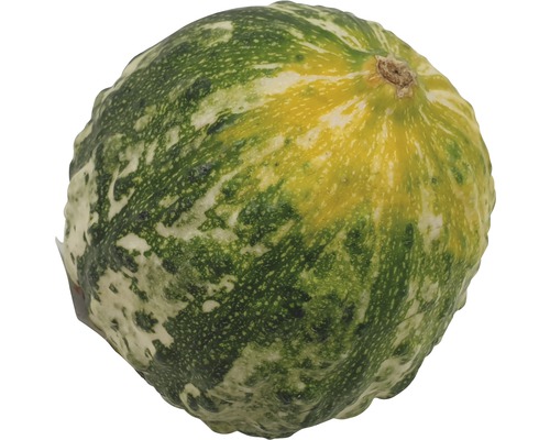 Courge d''ornement décorative à surface mouchetée
