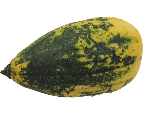 Courge d''ornement en forme de poire