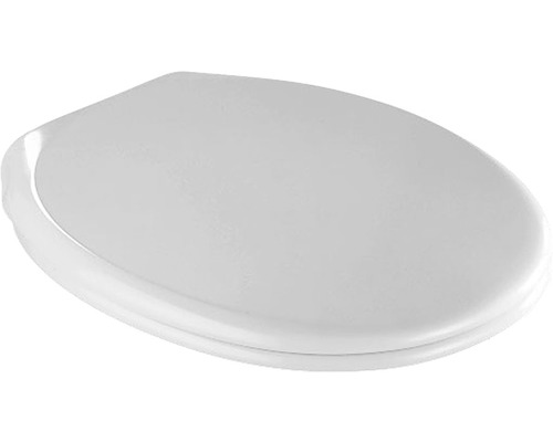 Toilettendeckel aus Kunststoff