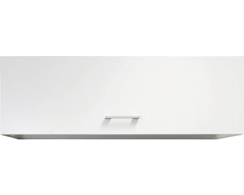 Klapphängeschrank Flex Well Lucca BxHxT 100x32x32 cm Frontfarbe weiss - Korpusfarbe weiss