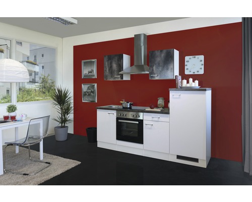 Cuisine complète avec appareils Flex Well Lucca 220 cm couleur de façade blanc - couleur du corps blanc 00011397