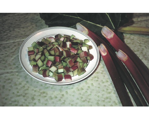 Assiette de rhubarbe coupée et tiges entières