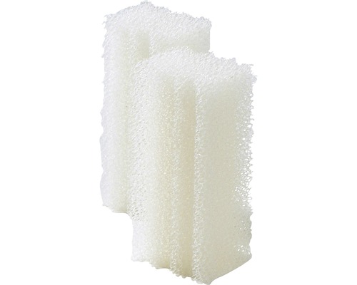 Deux éponges filtrantes