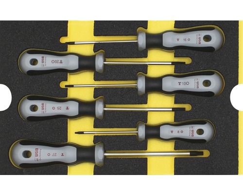 WGB Moduleinlage TX Schraubendreher Grösse M 268 x 38 x 171 mm schwarz 6-tlg Sechsteiliges Schraubendreher Set mit Torx Profil in Aufbewahrungsbox