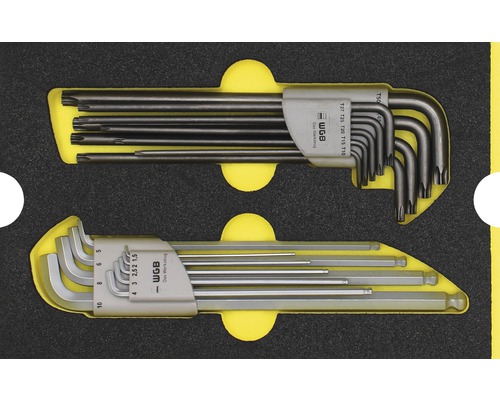 WGB Plateau mousse jeu de clés taille M 268 x 38 x 171 mm noir TORX 2 pièces Jeu de clés mâles WGB avec profil Torx et tête sphérique